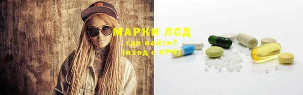 спайс Богданович