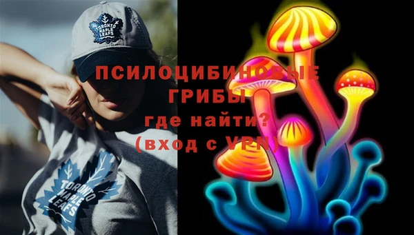 альфа пвп Богородицк