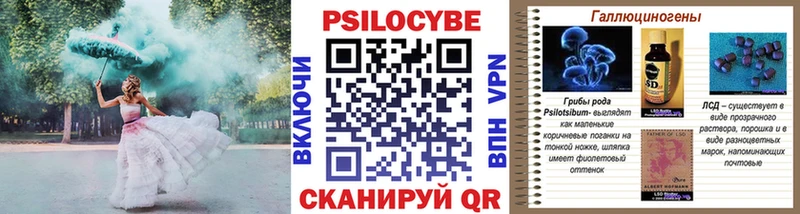 Галлюциногенные грибы Psilocybe Мелеуз