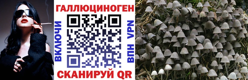 Псилоцибиновые грибы Psilocybine cubensis  Купить закладки  Мелеуз 